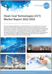 Clean Coal Technologies (CCT) Market Report 2022-2032: Forecasts by Technology, by Capture Method, by CO2 Utilization, by Type, by Combustion, Regional & Leading National Market Analysis, Leading Companies, and COVID-19 Recovery Scenarios