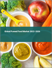 Global Pureed Food Market 2022-2026