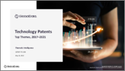 Technology Patents by Top Themes, 2017-2021 - Thematic Research