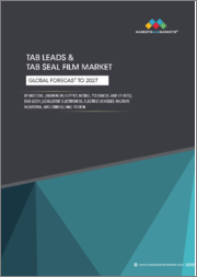Tab Leads and Tab Seal Film Market by Material (Aluminum, Copper, Nickel, Polyamide, End User (Consumer Electronics, Electric Vehicles, Military, Industrial) and Region (North America, Europe, APAC, Rest of World) - Global Forecast to 2027
