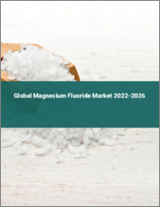 Global Magnesium Fluoride Market 2022-2026