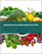 Global Natural Antioxidants Market 2022-2026