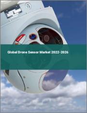 Global Drone Sensor Market 2022-2026