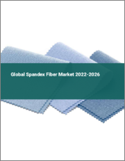 Global Spandex Fiber Market 2022-2026