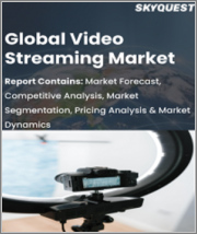 Global Video Streaming Market, By Component, By Streaming Type, By Deployment Mode, By Industry Vertical & By Region- Forecast and Analysis 2022-2028