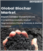 Global Biochar Market, By Technology, By Application, By Feedstock Type & By Region- Forecast and Analysis 2021-2028
