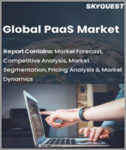Global PaaS Market, By Type (Software, Service), By Services (Consulting, Implementing, Training), By Deployment (Cloud, On-Premises ), By Organization (Large Enterprises, Small, Medium Enterprises (SMEs)) & By Region-Forecast and Analysis 2022-2028