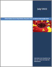 Global Orphan Cancer Drug Market, Drug Sales, Price & Clinical Trials Insight 2028