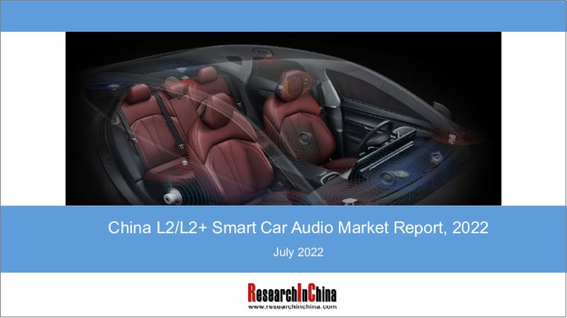 China L2/L2+ Smart Car Audio Market Report, 2022