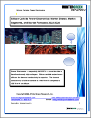 Silicon Carbide Power Electronics: Market Shares, Market Segments and Market Forecasts 2022-2028