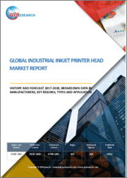 Global Industrial Inkjet Printer Head Market Report, History and Forecast 2017-2028