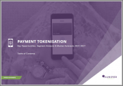 Payment Tokenization: Key Opportunities, Segment Analysis & Market Forecasts 2022-2027