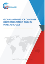Global Antennas For Consumer Electronics Market Insights, Forecast To 2028 - Customized Version