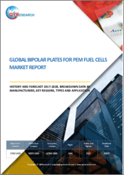 Global Bipolar Plates for PEM Fuel Cells Market Report, History and Forecast 2017-2028