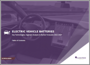 Electric Vehicle Batteries: Key Technologies, Segment Analysis & Market Forecasts 2022-2027