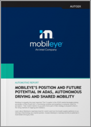 Mobileye's Leading Position and Future Potential in ADAS & Autonomous Driving