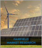 Offshore Wind Turbine Installation Vessels Market - Global Industry Analysis (2019 - 2021) - Growth Trends and Market Forecast (2022 - 2027)