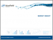 U.S. Trenchless Market Matures Amidst Water Market Shifts: Forecasts, Competitive Positioning, and Key Trends, 2022-2030