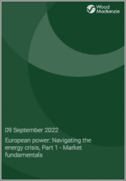 European Power: Navigating the Energy Crisis, Part 1 - Market Fundamentals