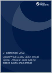 Global Wind Supply Chain Trends Series - Article 2: Wind Turbine Blades Supply Chain Trends