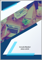 Cresols Market - Growth, Future Prospects and Competitive Analysis, 2022 - 2030