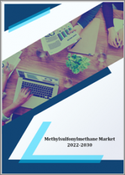 Methylsulfonylmethane Market - Growth, Future Prospects and Competitive Analysis, 2022 - 2030