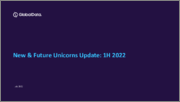 New and Future Unicorns Update, H1 2022