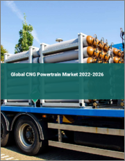 Global CNG Powertrain Market 2022-2026