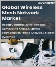 Global Wireless Mesh Network Market, By Component, By Service & By Region- Forecast and Analysis 2022-2028