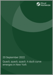 Quack, Quack, Quack: A Duck Curve Emerges in New York
