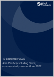 Asia Pacific (excluding China) Onshore Wind Power Outlook 2022