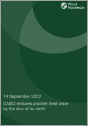CAISO Endures Another Heat Wave by the Skin of its Teeth