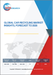 Global Car Recycling Market Insights, Forecast To 2028