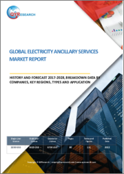 Global Electricity Ancillary Services Market Report, History and Forecast 2017-2028