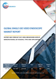 Global Single Use Video Endoscope Market Report, History and Forecast 2017-2028