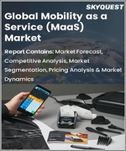 Global Mobility As A Service Market, By Type, By Application & By Region- Forecast and Analysis 2022-2028