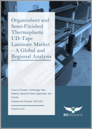 Organosheet and Semi-Finished Thermoplastic UD-Tape Laminate Market - A Global and Regional Analysis: Focus on Product, Technology, Raw Material, Sandwich Panel, Application, and Country - Analysis and Forecast, 2022-2031