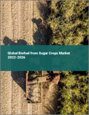 Global Biofuel from Sugar Crops Market 2022-2026