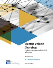 Electric Vehicle Charging: Infrastructure and Global Markets