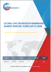 Global Gas Separation Membranes Market Insights and Forecast to 2028