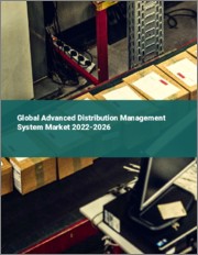 Global Advanced Distribution Management System Market 2022-2026