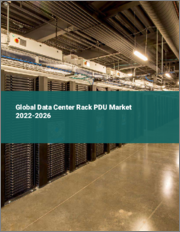 Global Data Center Rack PDU Market 2022-2026