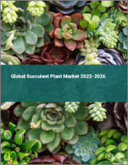 Global Succulent Plant Market 2022-2026