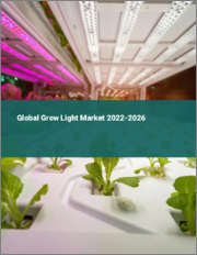 Global Grow Light Market 2022-2026