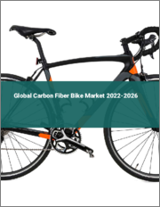 Global Carbon Fiber Bike Market 2022-2026