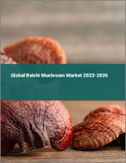 Global Reishi Mushroom Market 2022-2026