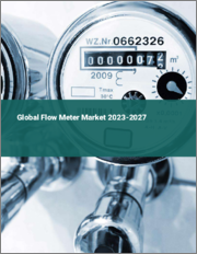 Global Flow Meter Market 2023-2027