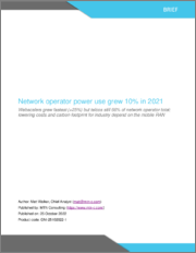Network Operator Power Use Grew 10% in 2021: Webscalers Grew Fastest (+25%) but Telcos Still 66% of Network Operator Total, Lowering Costs and Carbon Footprint for Industry Depend on the Mobile RAN