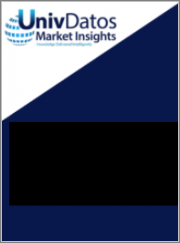 Electrodeionization Market: Current Analysis and Forecast (2022-2028)