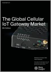 The Global Cellular IoT Gateway Market - 6th Edition